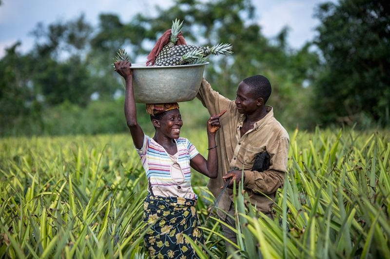 Farmers in field