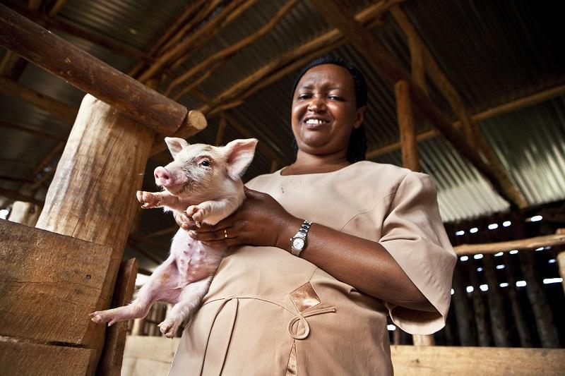 Farmer with pig Rwanda