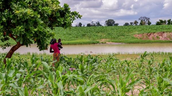 Farmer in field